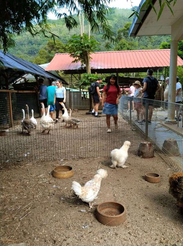 George Town, Penang: Malay Countryside Cycling - Key points at a glance