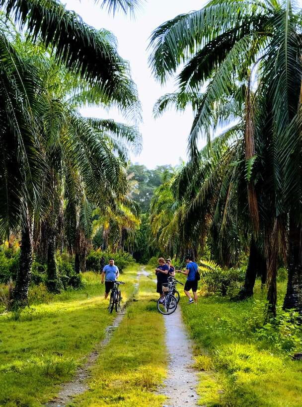 George Town, Penang: Malay Countryside Cycling - Orchards, plantations and quiet country lanes