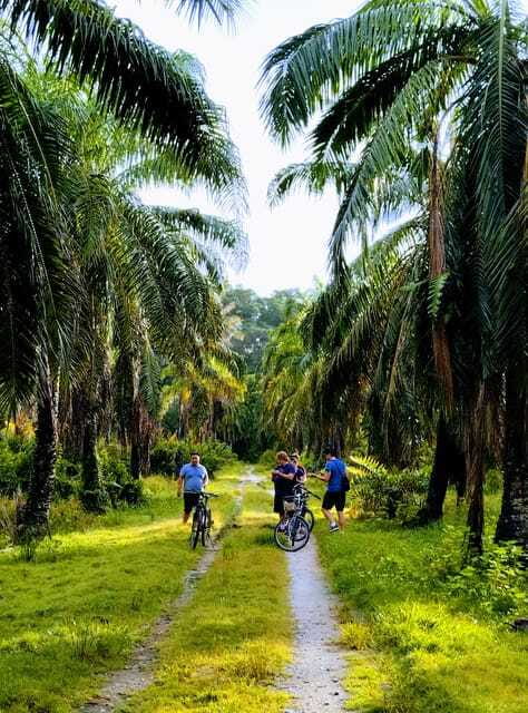 George Town, Penang: Malay Countryside Cycling - Malay and Chinese villages along the route