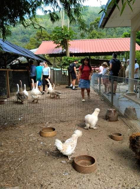 George Town, Penang: Malay Countryside Cycling - Who should book this Penang cycling tour
