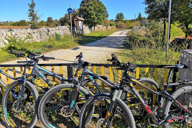 GPS tour with E-Bike on cycleroute of acqueduct Pugliese with wine tasting directly in vineyards - What the wine tasting really involves