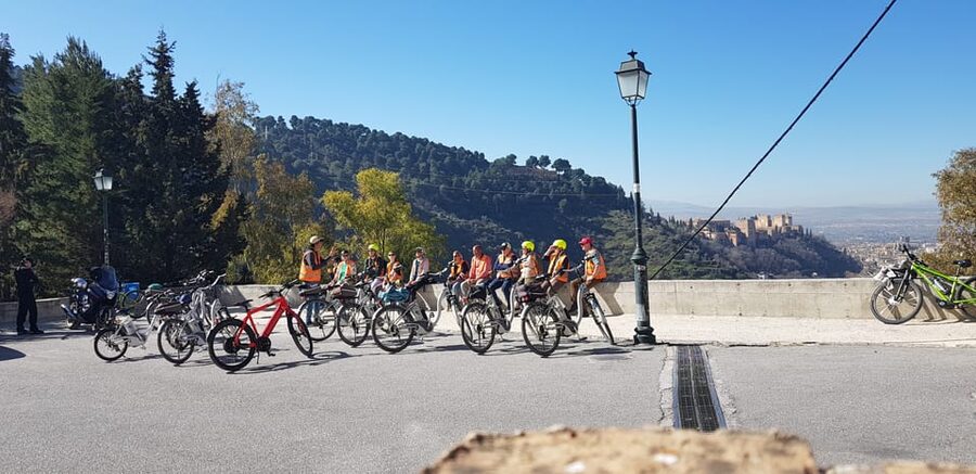 Granada: E-Bike Tour and Fast-Track Alhambra Ticket - Entering the Nasrid Palaces and Court of the Lions