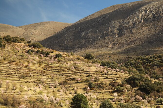 Granada: Nature, Wildlife and Authentic Villages E-bike Tour - Why This Ride Is Different From a City Bike Tour