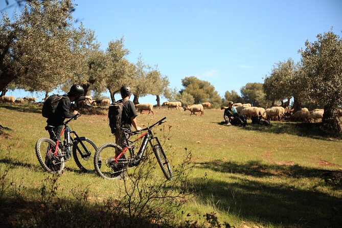 Granada: Nature, Wildlife and Authentic Villages E-bike Tour - Climbing Toward the Sierra Nevada