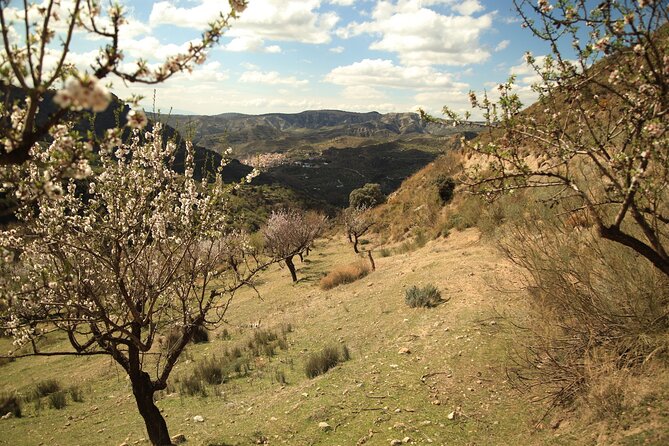 Granada: Nature, Wildlife and Authentic Villages E-bike Tour - A Riverside Lunch in a Small Village