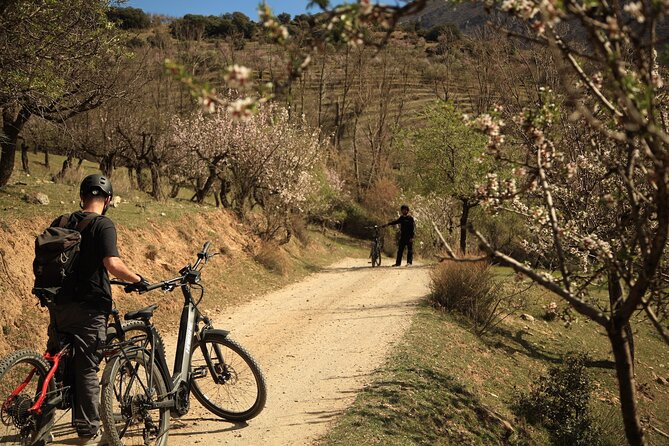 Granada: Nature, Wildlife and Authentic Villages E-bike Tour - Guides Who Shape the Day