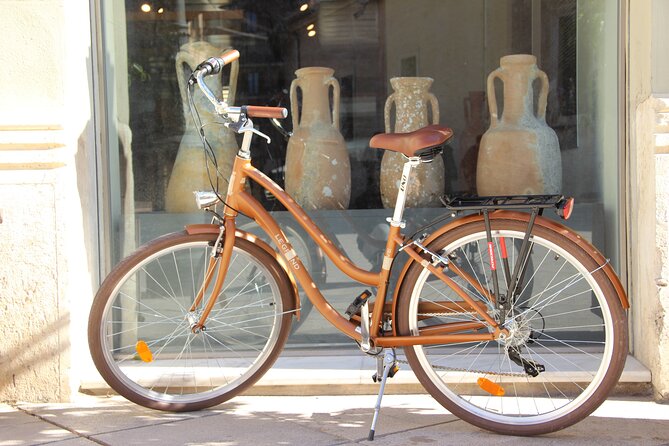 GRAND CITY Private Guided Tour on Bike, E-Bike, E-Step or Segway - From the Marquis palace to the city hall