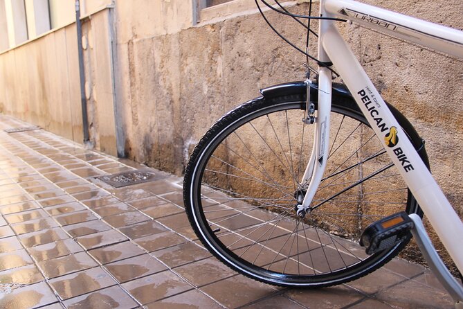 GRAND CITY Private Guided Tour on Bike, E-Bike, E-Step or Segway - Markets, gates, and the old city walls