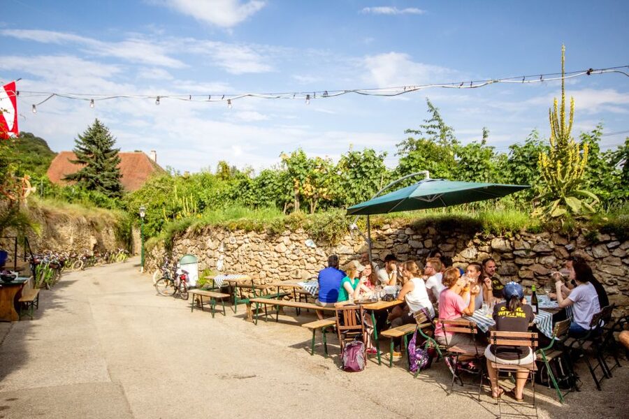 Grape Grazing: Wachau Valley Winery Biking Tour - Lunch in a family-run village tavern