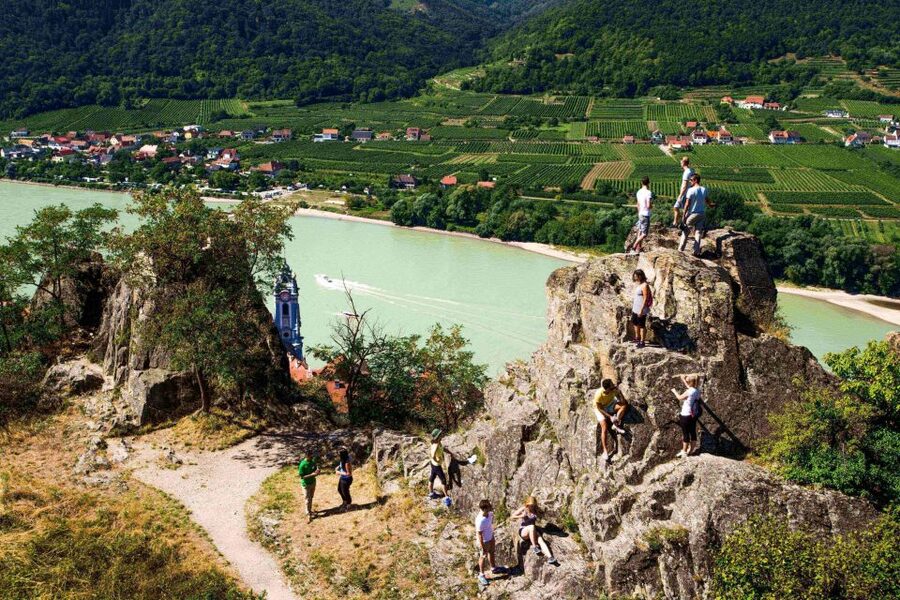 Grape Grazing: Wachau Valley Winery Biking Tour - Cycling toward Weißenkirchen and the Danube ferry