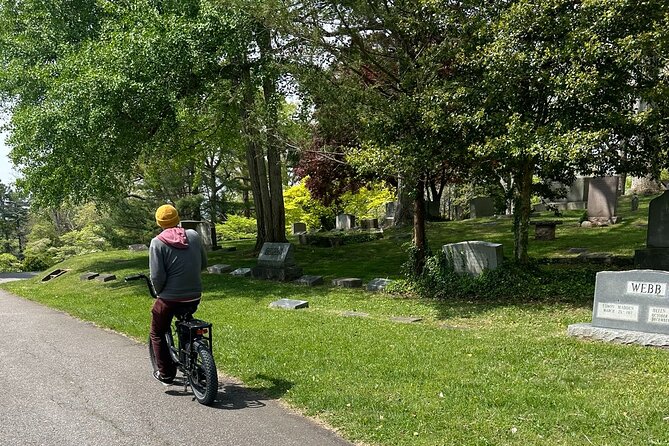 Guided Asheville E-bike Tour of River Arts, Mountains and Murals - River Arts District: murals and working creativity