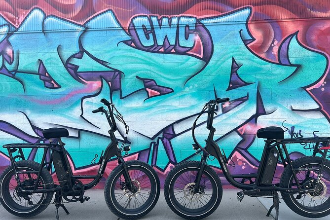Guided Asheville E-bike Tour of River Arts, Mountains and Murals - French Broad River Park: an easy opening ride