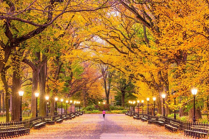 Guided Bike Tour of Central Park New York City - Key points to know before you ride
