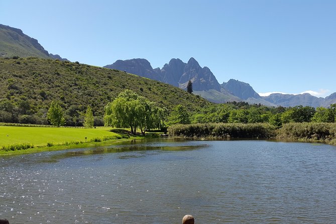 Guided Bike Tour of Stellenbosch - Stellenbosch University and the return ride
