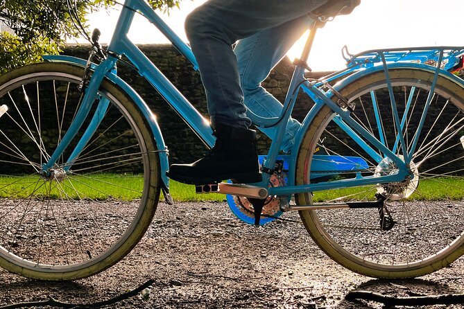 Guided Cycle Tours of Cardiff - The wetlands make the ride feel less urban