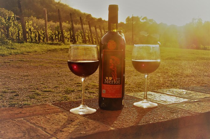 Guided E-Bike Tour with Wine Tasting from Lucca - Starting Beside Lucca’s Historic Center