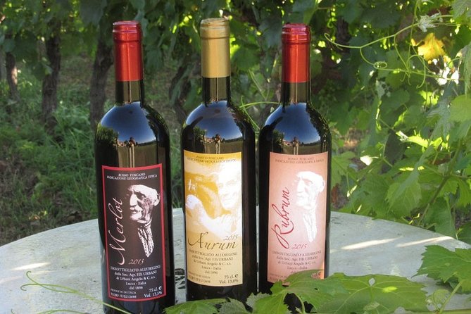 Guided E-Bike Tour with Wine Tasting from Lucca - Guides Who Shape the Experience