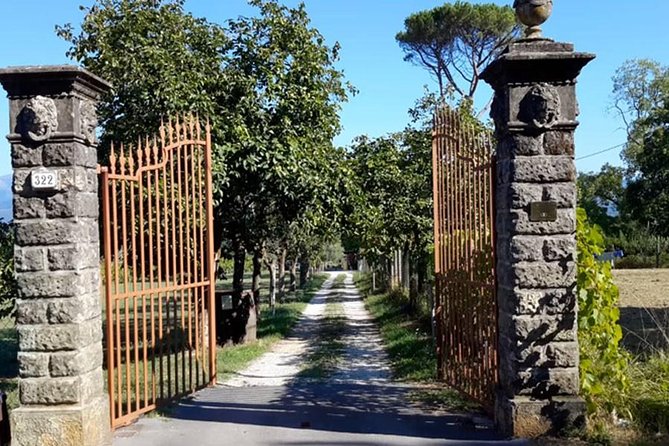 Guided E-Bike Tour with Wine Tasting from Lucca - Riding the Walls of Lucca