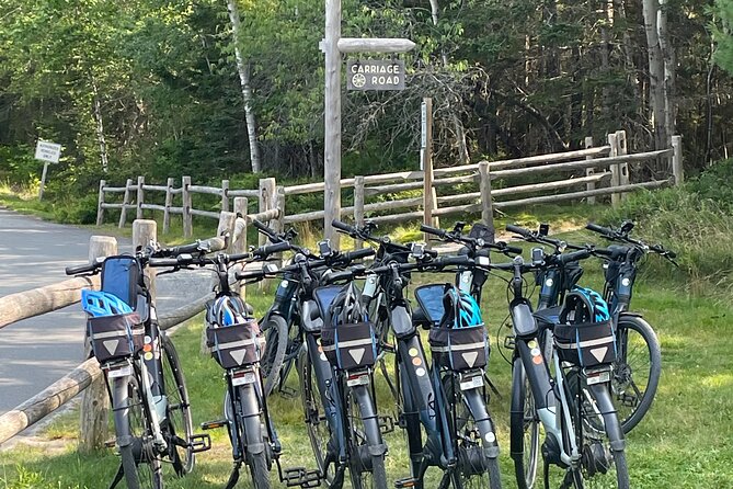 Guided Ebike Tour of Acadia National Park Carriage Roads - Why the carriage roads are the right way to see Acadia