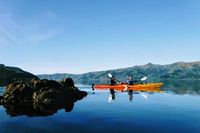Guided Electric Mountain Bike & Sea Kayak Tour in Akaroa - What the guide adds to the day