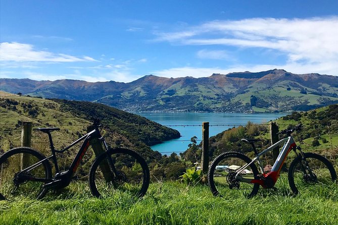Guided Electric Mountain Bike & Sea Kayak Tour in Akaroa - Who will enjoy this most