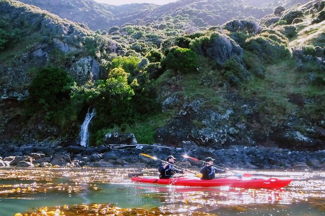 Guided Electric Mountain Bike & Sea Kayak Tour in Akaroa - 8:30 a.m. to 11 a.m. on the electric mountain bike