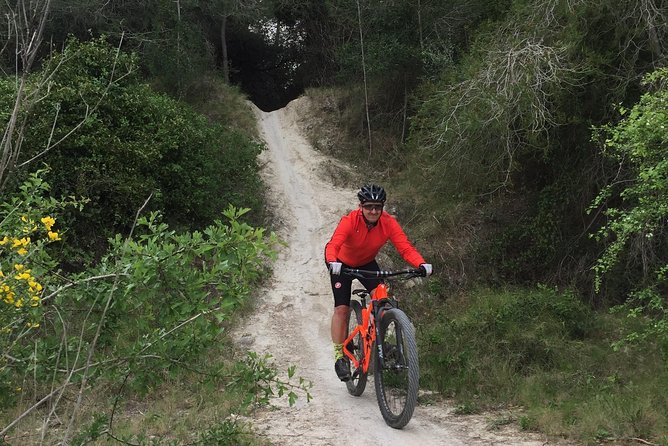 Guided mountain bike route - "Pata Negra" Tour - Key points to know before you book