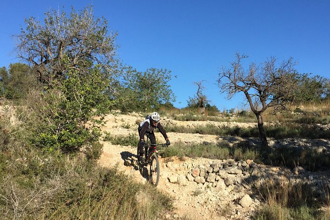 Guided mountain bike route - "Pata Negra" Tour - Coffee, snacks, and the halfway pause