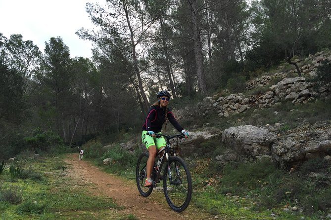 Guided mountain bike route - "Pata Negra" Tour - Is $90.70 good value?