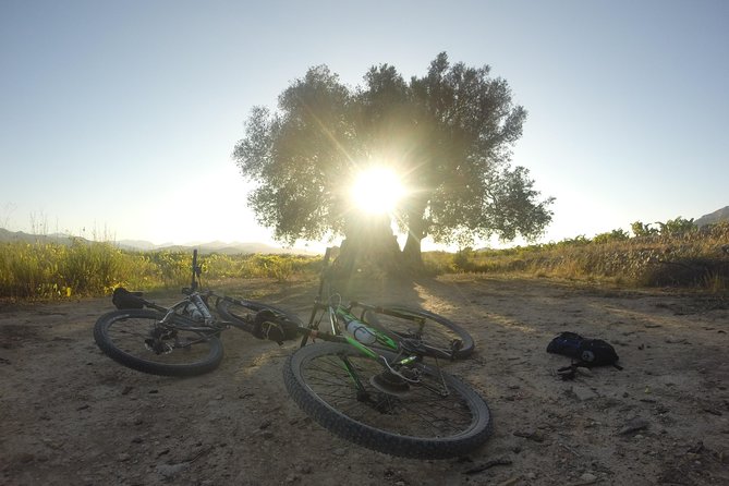 Guided mountain bike route - "Pata Negra" Tour - What the electric bikes change
