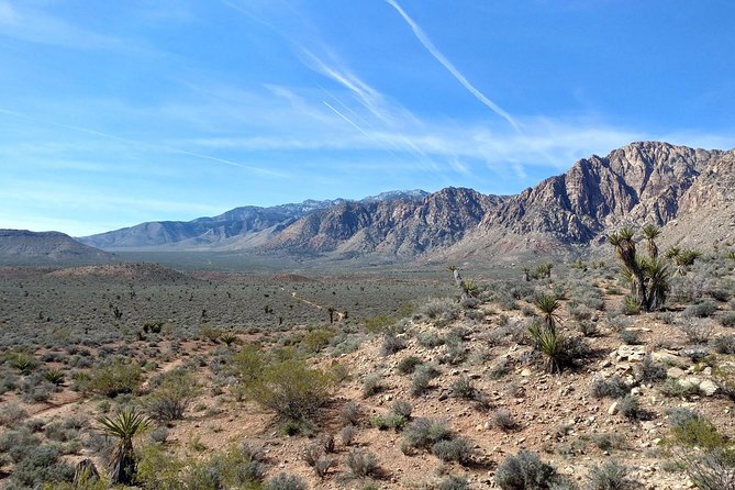 Guided Mountain Bike Tour of Mustang Trail in Red Rock Canyon - Guides make the biggest difference