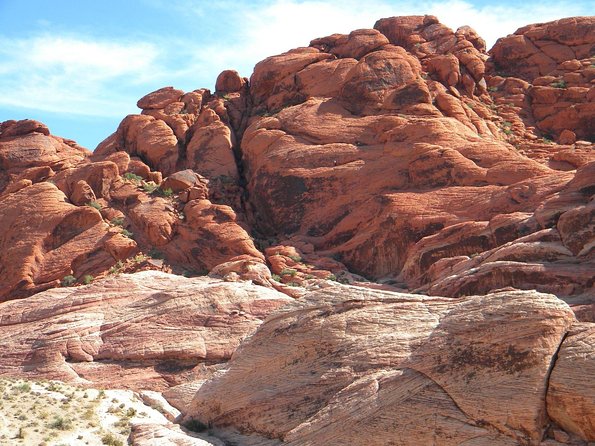 Guided Mountain Bike Tour of Mustang Trail in Red Rock Canyon - Who should book this ride?