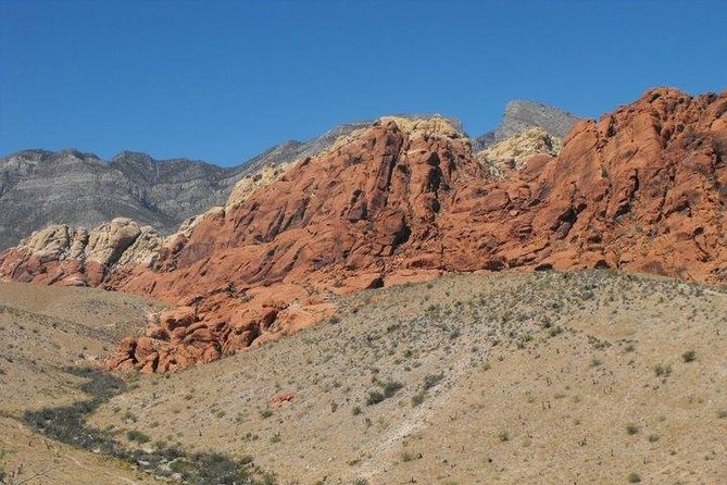 Guided Mountain Bike Tour of Mustang Trail in Red Rock Canyon - Price, timing, and booking details that matter