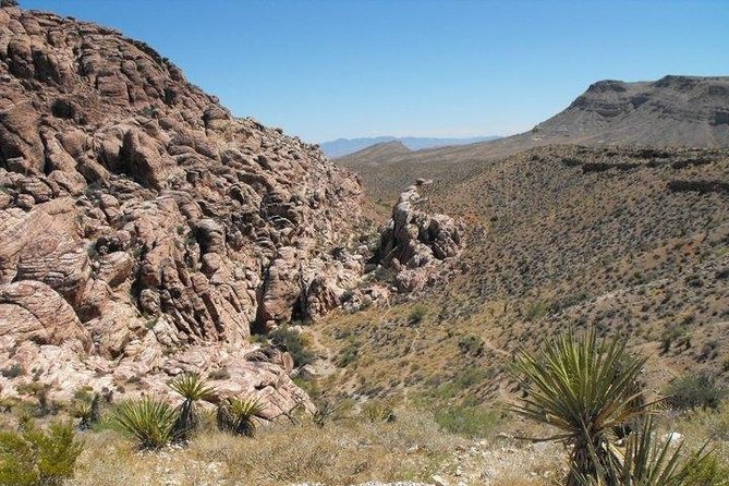 Guided Mountain Bike Tour of Mustang Trail in Red Rock Canyon - Getting set up with the right bike