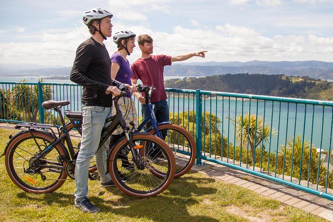 Guided Wellington Tour by Electric Bike - Key points at a glance