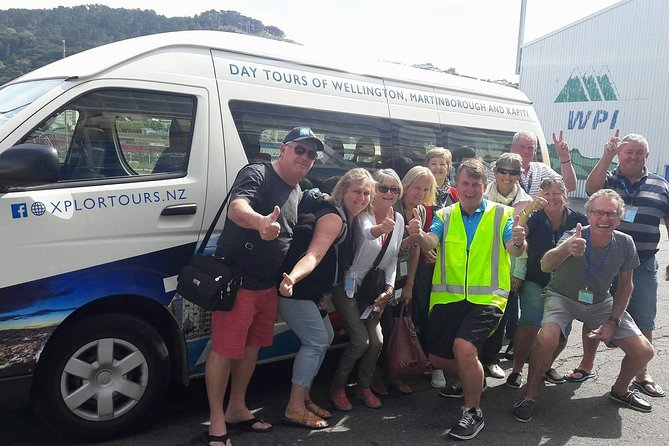 Guided Wellington Tour by Electric Bike - Wind sculptures, aircraft, and the Miramar coast
