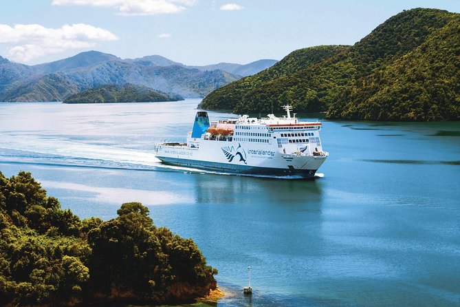 Guided Wellington Tour by Electric Bike - The wind factor deserves serious attention