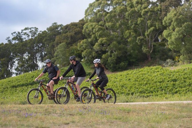 Hahndorf food and wine E-Bike Tour - Key points to know before booking