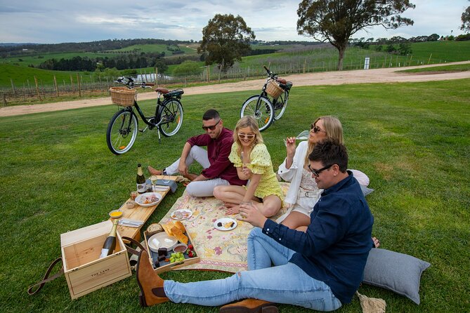 Hahndorf food and wine E-Bike Tour - Shaw and Smith provides the most serious wine tasting