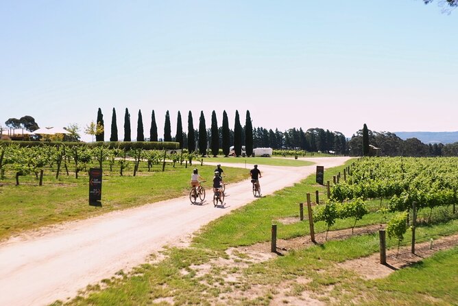 Hahndorf food and wine E-Bike Tour - The Lane Vineyard brings the route back home