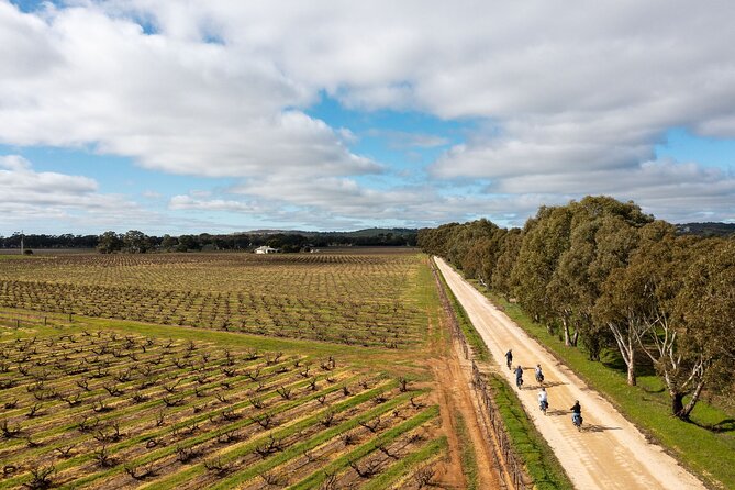 Hahndorf food and wine E-Bike Tour - Beerenberg brings in the seasonal fun