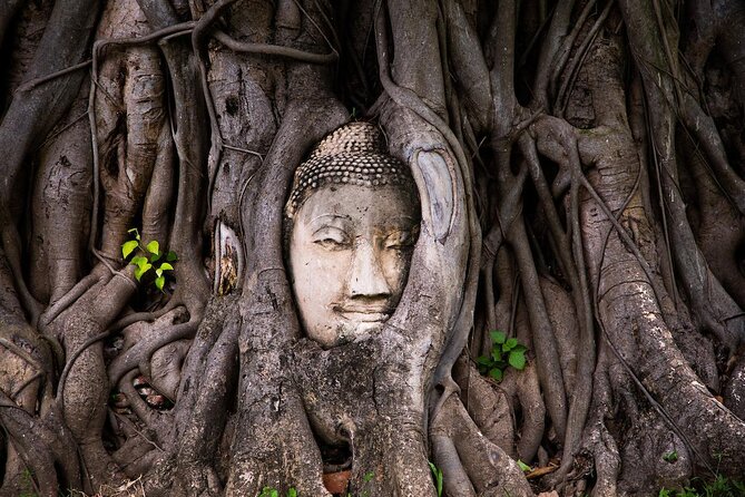 Half-Day Ayutthaya City Cultural Bike Tour - Key points to know before booking
