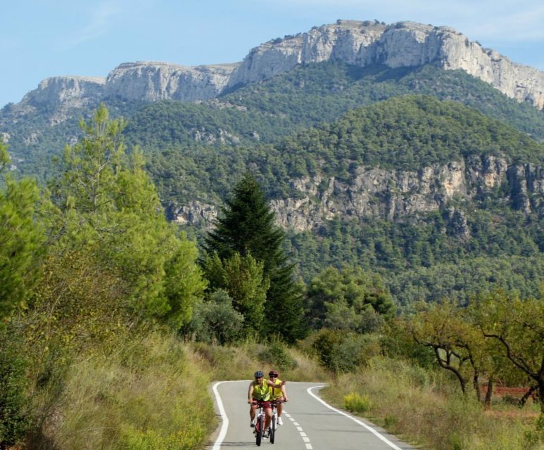 Half-Day Bike Tour from Salou - Key points at a glance