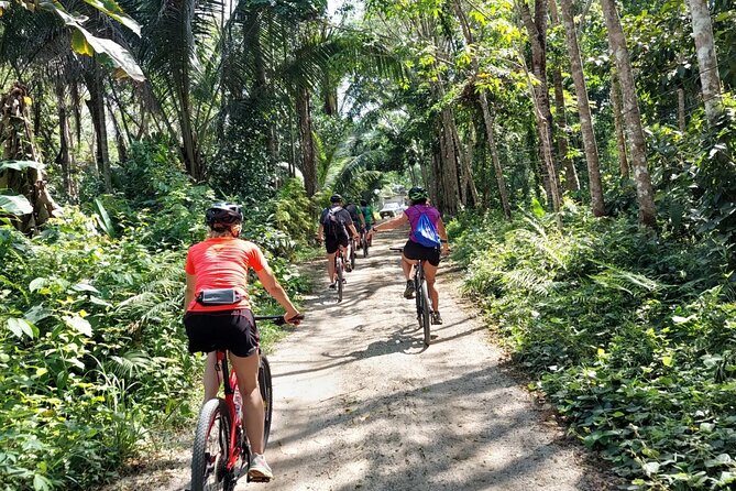Half-Day Countryside Cycling Small-group Tour in Phuket - Key points before you book