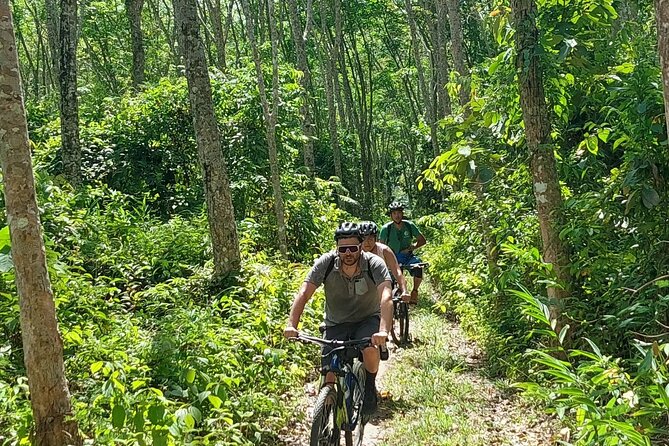 Half-Day Countryside Cycling Small-group Tour in Phuket - Starting at Thep Krasattri