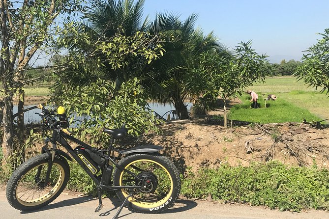 Half-day E-bike Countryside and rice paddies (flat land, GUIDED) - Rice paddies, orchards, and village roads