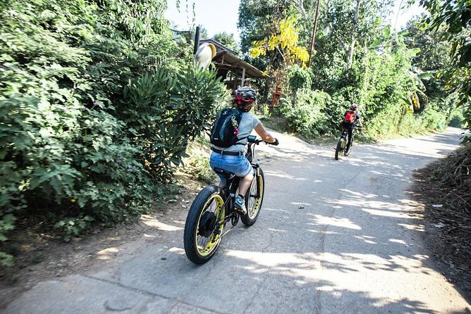 Half-day E-bike Countryside and rice paddies (flat land, GUIDED) - The Ping River and lesser-known stops