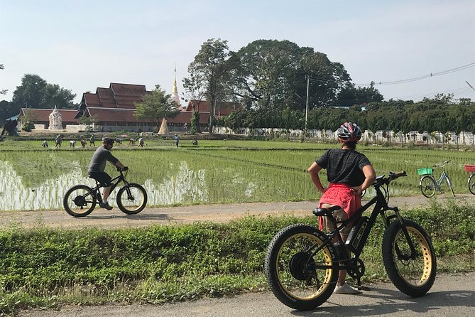 Half-day E-bike Countryside and rice paddies (flat land, GUIDED) - Is $50.52 good value?