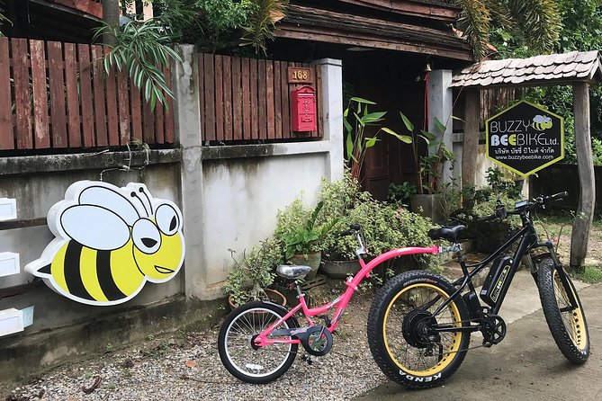 Half-day E-bike Countryside and rice paddies (flat land, GUIDED) - Getting picked up and learning the e-bike