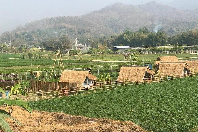 Half-day E-bike Nam Phrae (hilly, fully paved roads, GUIDED) - Wat Ton Kwen, the cultural finish